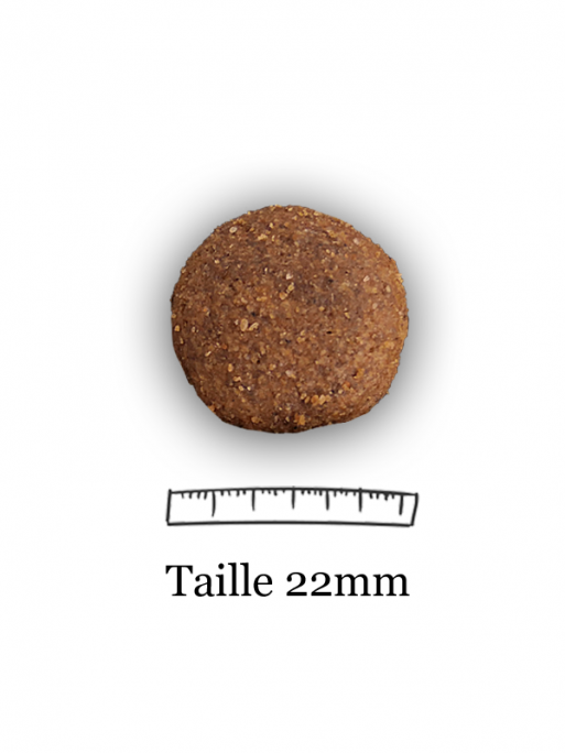 Croquettes Essentiel Grain Free Volaille