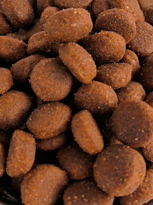 Croquettes Essentiel Chiot